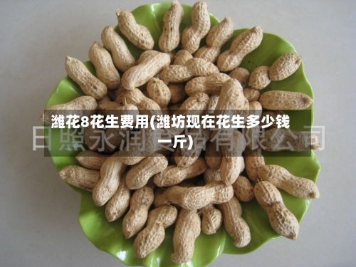 潍花8花生费用(潍坊现在花生多少钱一斤)-第2张图片