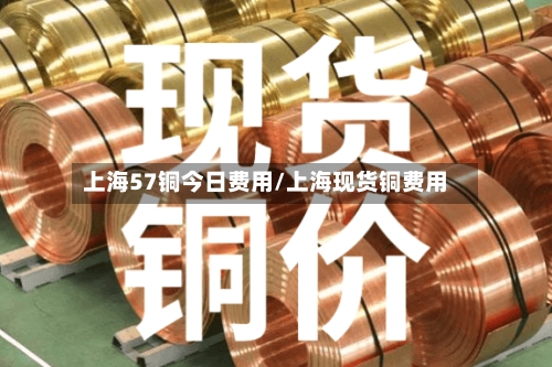 上海57铜今日费用/上海现货铜费用