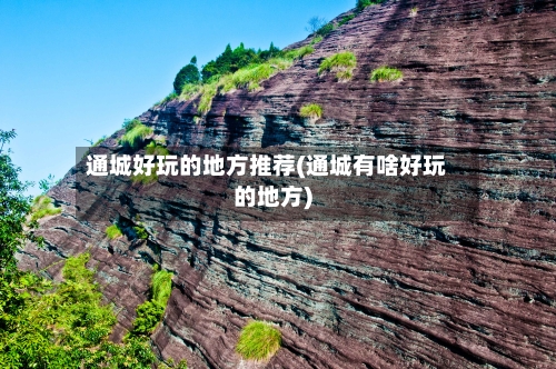 通城好玩的地方推荐(通城有啥好玩的地方)-第2张图片