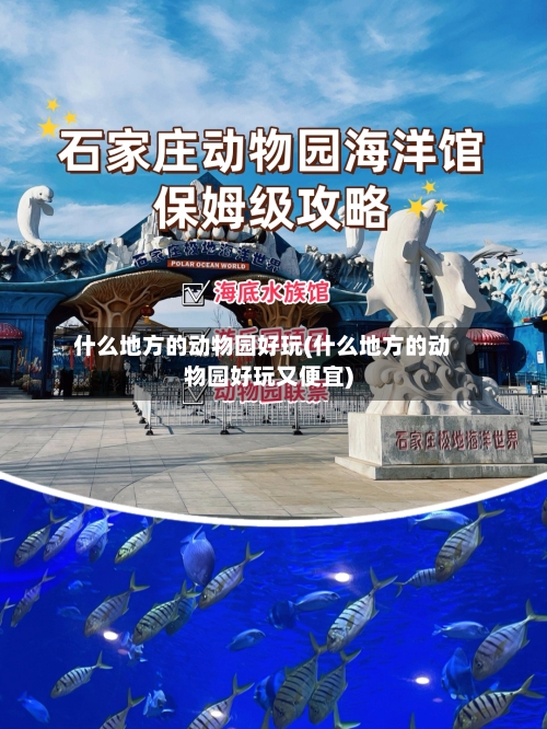 什么地方的动物园好玩(什么地方的动物园好玩又便宜)-第2张图片