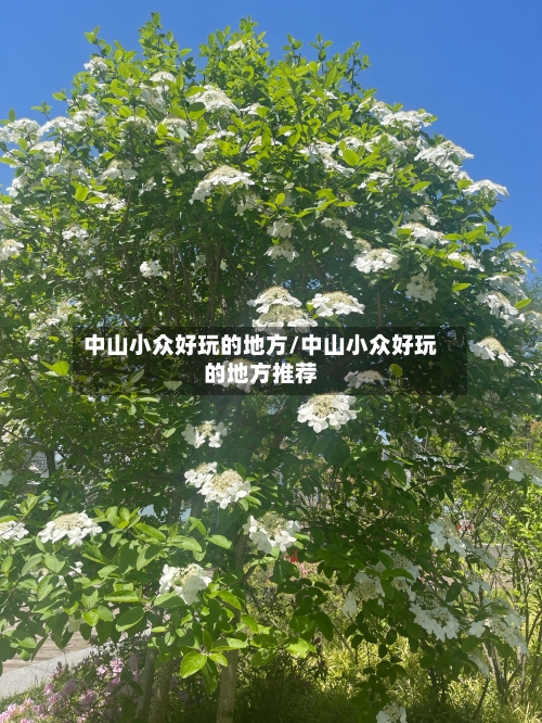 中山小众好玩的地方/中山小众好玩的地方推荐
