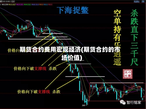期货合约费用宏观经济(期货合约的市场价值)
