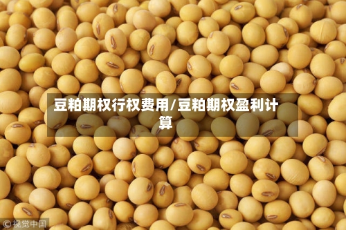 豆粕期权行权费用/豆粕期权盈利计算