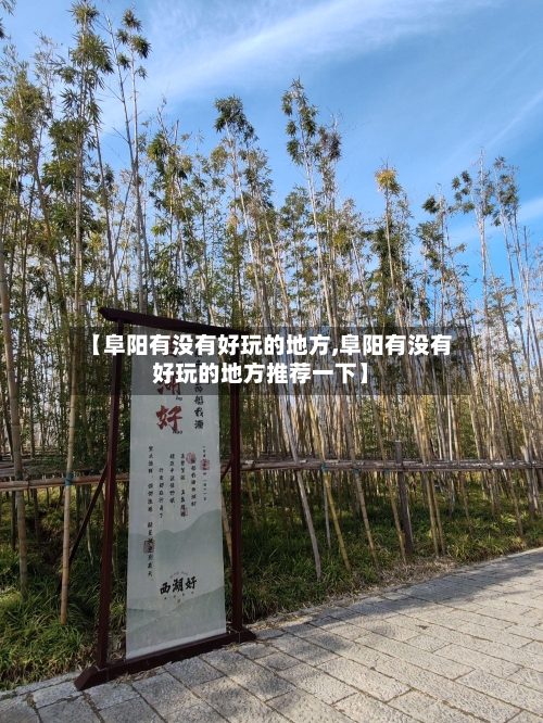 【阜阳有没有好玩的地方,阜阳有没有好玩的地方推荐一下】-第2张图片