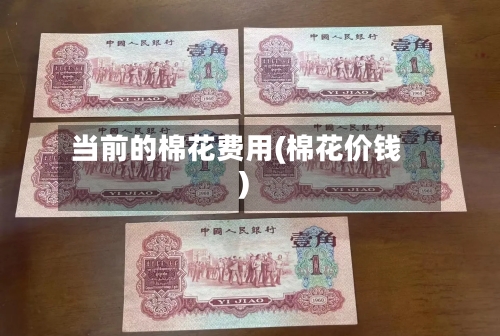 当前的棉花费用(棉花价钱)