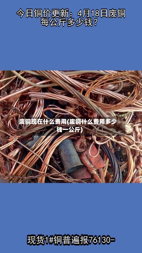 废铜现在什么费用(废铜什么费用多少钱一公斤)