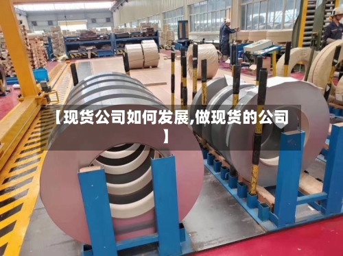 【现货公司如何发展,做现货的公司】