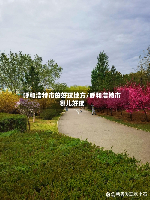 呼和浩特市的好玩地方/呼和浩特市哪儿好玩