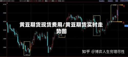 黄豆期货现货费用/黄豆期货实时走势图-第3张图片