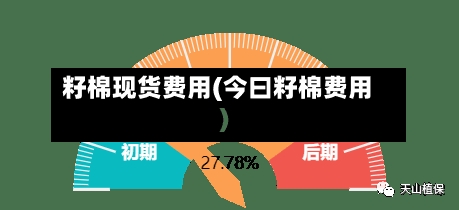 籽棉现货费用(今曰籽棉费用)