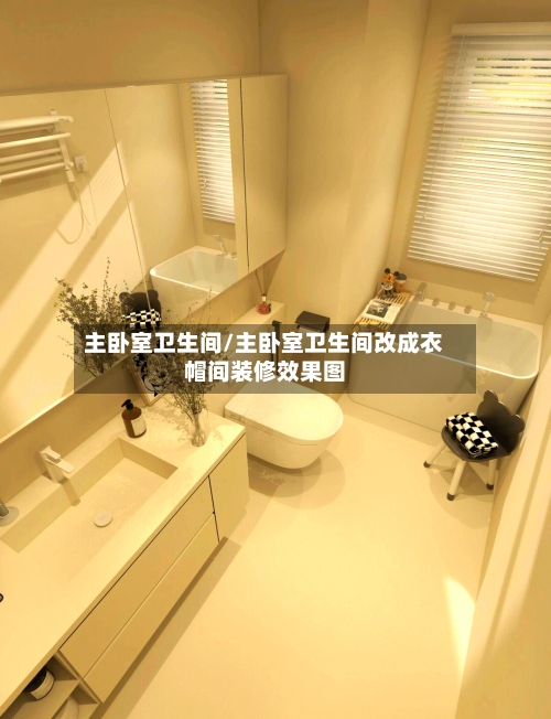 主卧室卫生间/主卧室卫生间改成衣帽间装修效果图