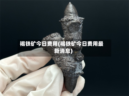 褐铁矿今日费用(褐铁矿今日费用最新消息)
