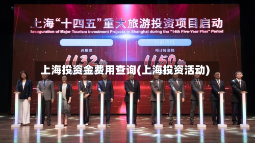 上海投资金费用查询(上海投资活动)