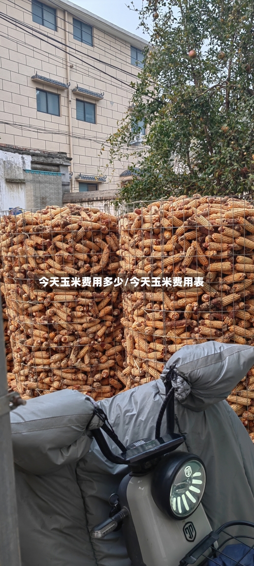 今天玉米费用多少/今天玉米费用表-第2张图片