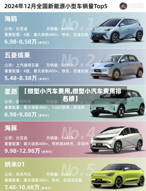 【微型小汽车费用,微型小汽车费用排名榜】-第3张图片