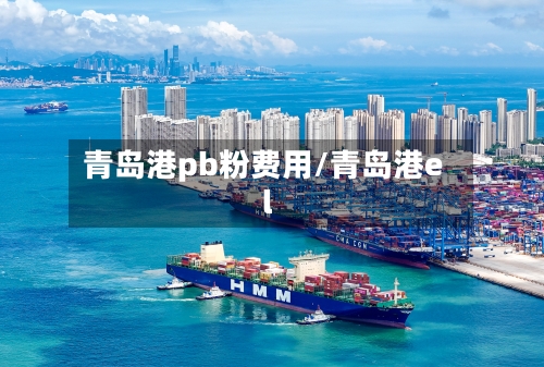 青岛港pb粉费用/青岛港el