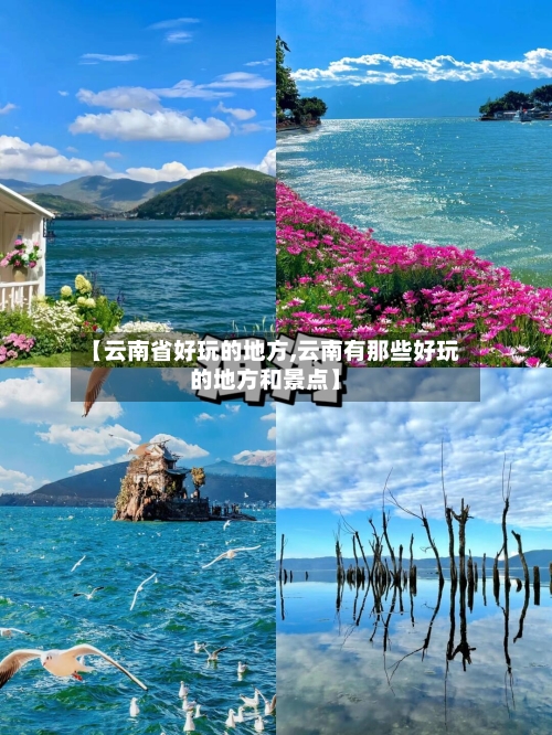 【云南省好玩的地方,云南有那些好玩的地方和景点】-第2张图片
