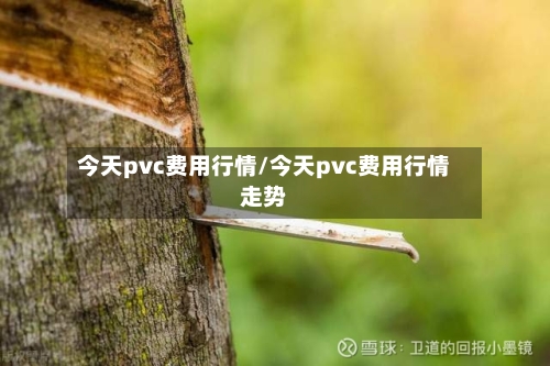 今天pvc费用行情/今天pvc费用行情走势-第3张图片
