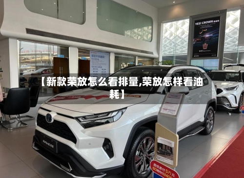 【新款荣放怎么看排量,荣放怎样看油耗】-第3张图片