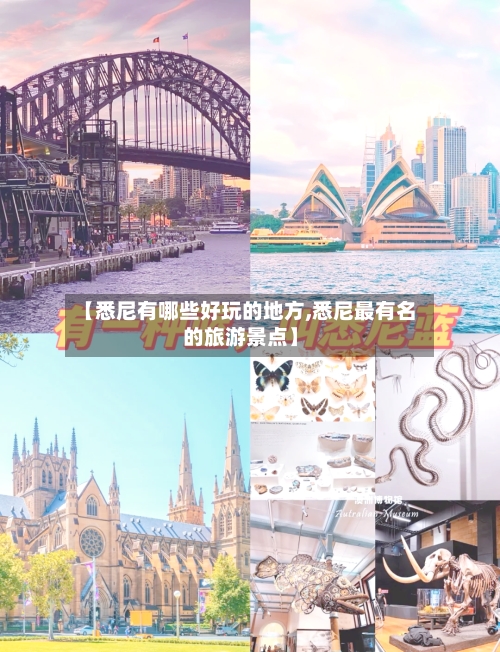 【悉尼有哪些好玩的地方,悉尼最有名的旅游景点】-第2张图片