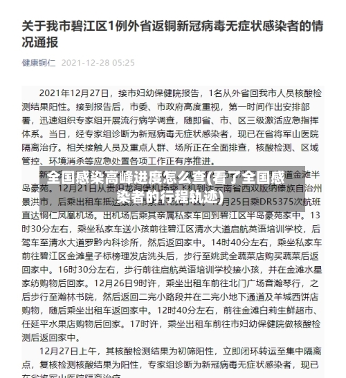 全国感染高峰进度怎么查(看了全国感染者的行程轨迹)-第3张图片