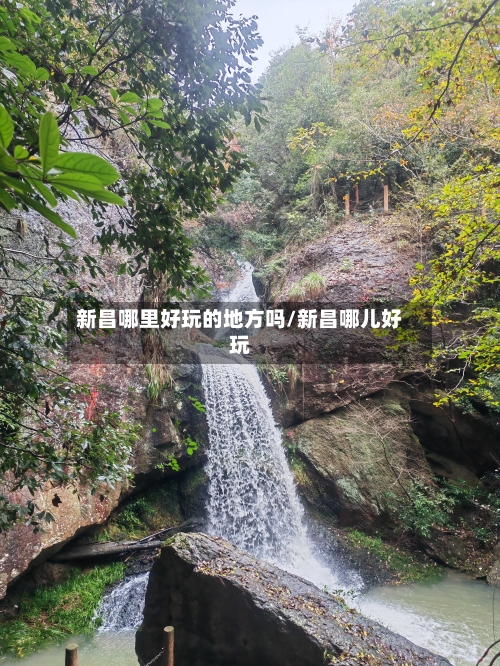 新昌哪里好玩的地方吗/新昌哪儿好玩-第2张图片