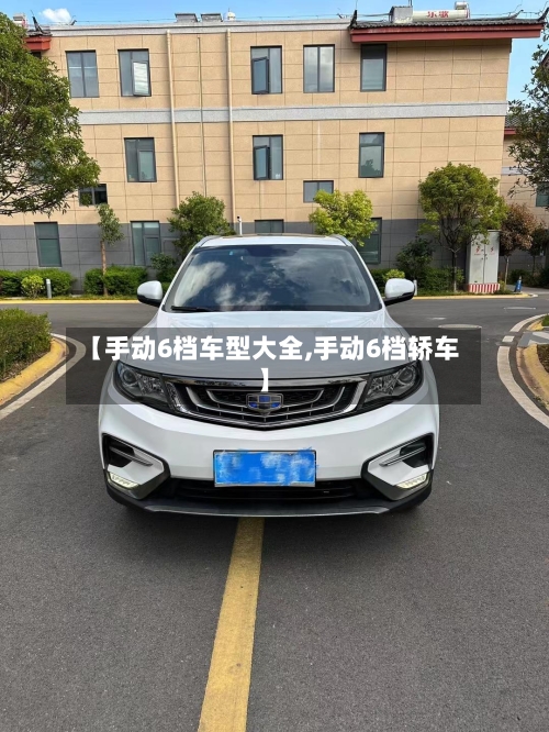 【手动6档车型大全,手动6档轿车】