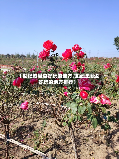 【世纪城周边好玩的地方,世纪城周边好玩的地方推荐】-第2张图片