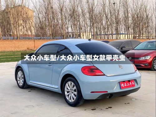 大众小车型/大众小车型女款甲壳虫-第2张图片