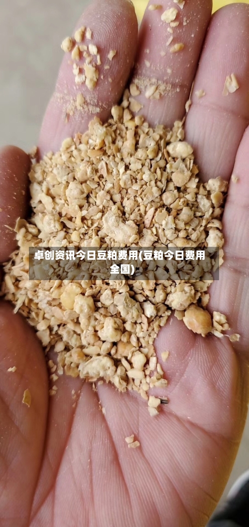 卓创资讯今日豆粕费用(豆粕今日费用全国)