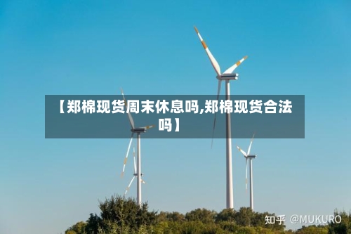 【郑棉现货周末休息吗,郑棉现货合法吗】-第1张图片