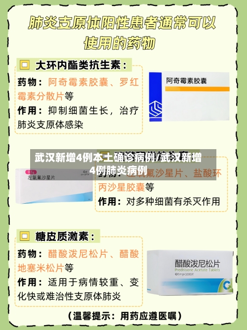 武汉新增4例本土确诊病例/武汉新增4例肺炎病例-第2张图片