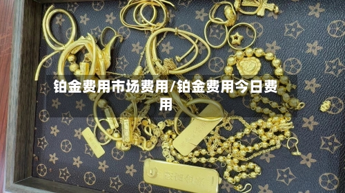 铂金费用市场费用/铂金费用今日费用-第2张图片