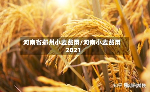 河南省郑州小麦费用/河南小麦费用2021-第3张图片