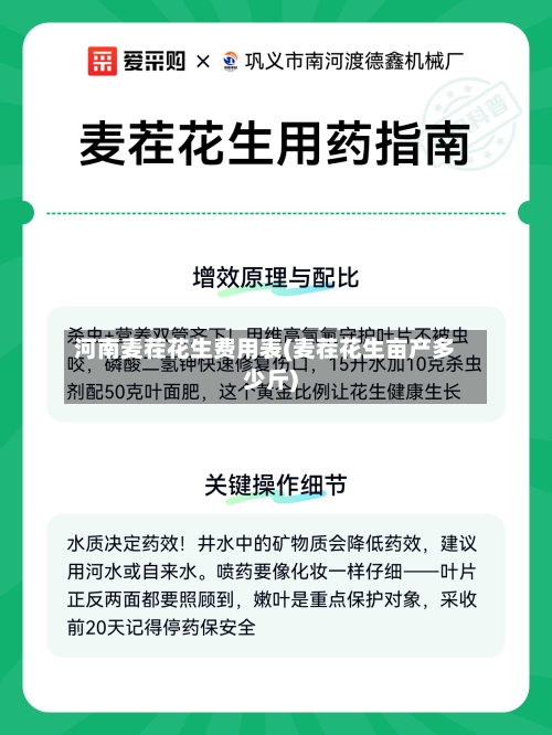 河南麦茬花生费用表(麦茬花生亩产多少斤)