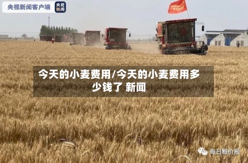 今天的小麦费用/今天的小麦费用多少钱了 新闻-第3张图片