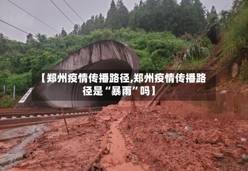 【郑州疫情传播路径,郑州疫情传播路径是“暴雨”吗】-第3张图片