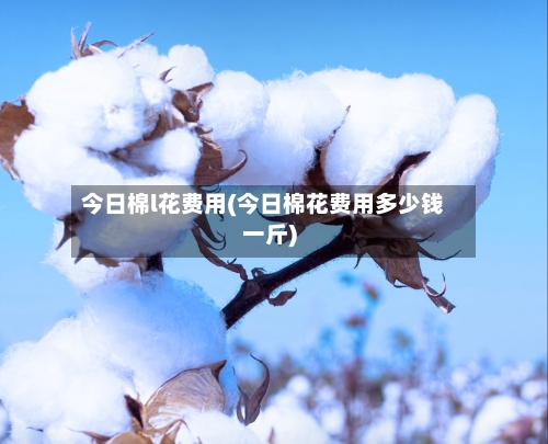 今日棉l花费用(今日棉花费用多少钱一斤)