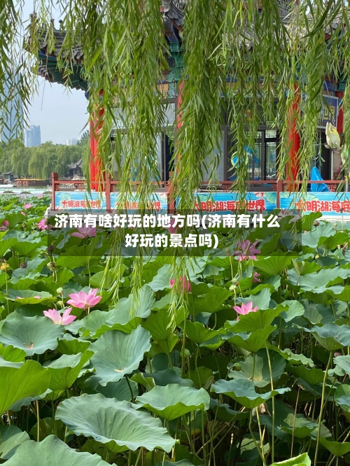 济南有啥好玩的地方吗(济南有什么好玩的景点吗)