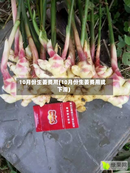 10月份生姜费用(10月份生姜费用或下滑)