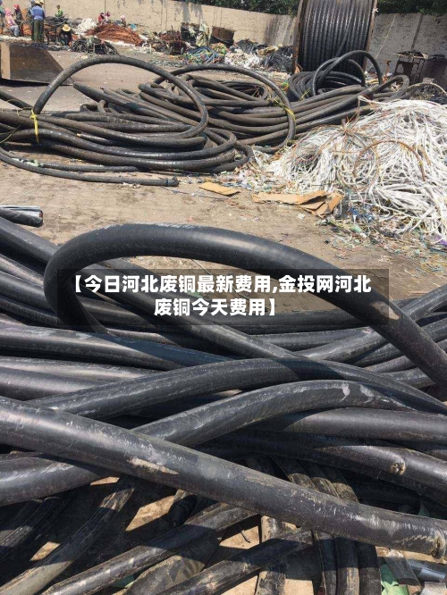 【今日河北废铜最新费用,金投网河北废铜今天费用】