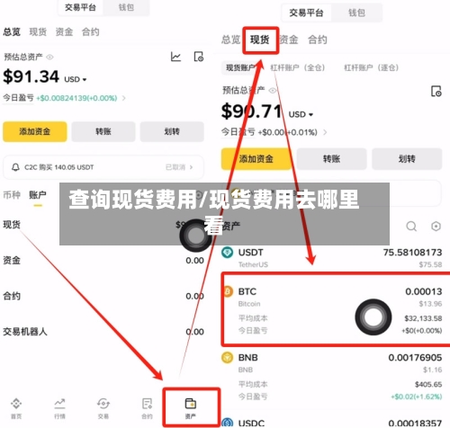查询现货费用/现货费用去哪里看