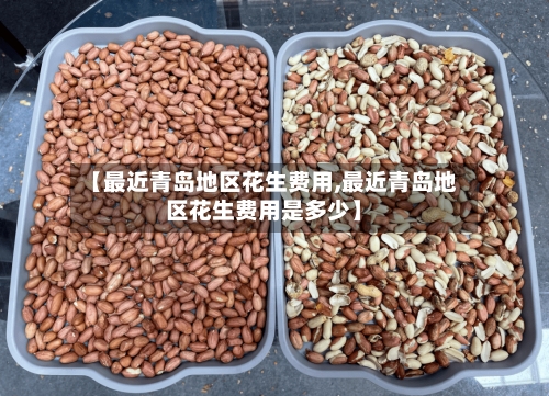 【最近青岛地区花生费用,最近青岛地区花生费用是多少】-第2张图片