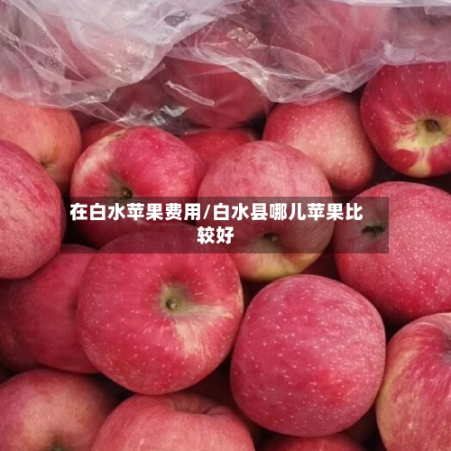 在白水苹果费用/白水县哪儿苹果比较好-第3张图片