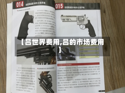 【吕世界费用,吕的市场费用】