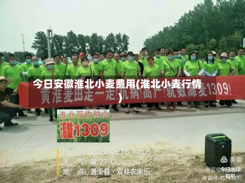 今日安徽淮北小麦费用(淮北小麦行情)-第2张图片