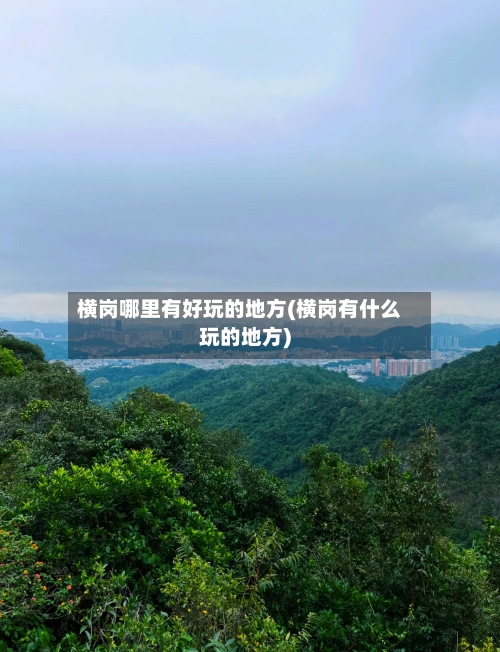 横岗哪里有好玩的地方(横岗有什么玩的地方)