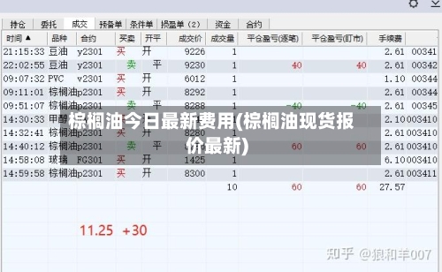 棕榈油今日最新费用(棕榈油现货报价最新)-第3张图片