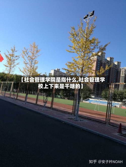【社会管理学院是指什么,社会管理学校上下来是干啥的】-第2张图片