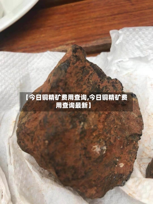 【今日铜精矿费用查询,今日铜精矿费用查询最新】-第3张图片